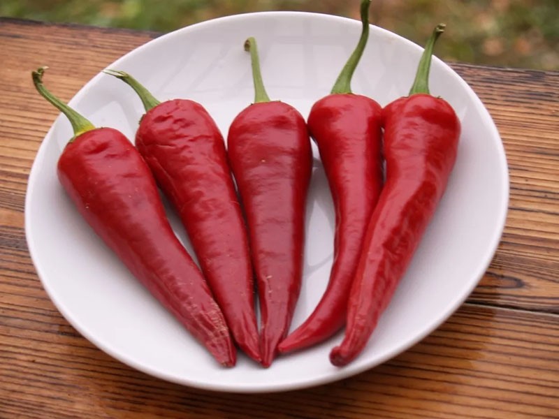 fruit de poivre de cayenne
