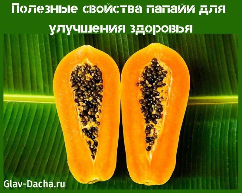 propriétés bénéfiques de la papaye