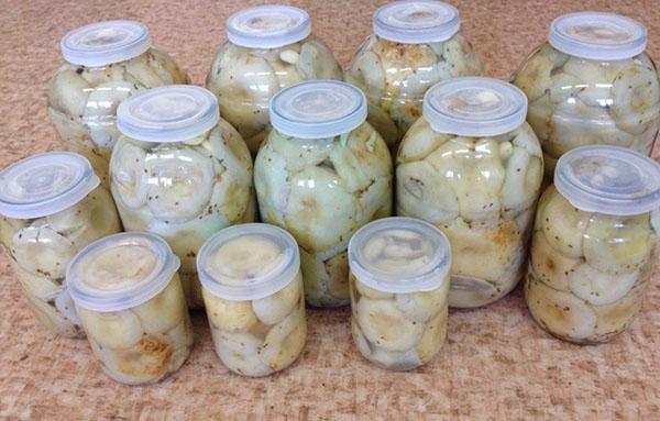 champignons au lait salé