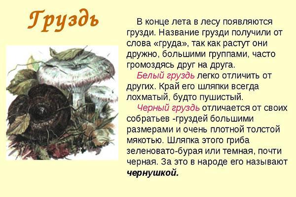morceau