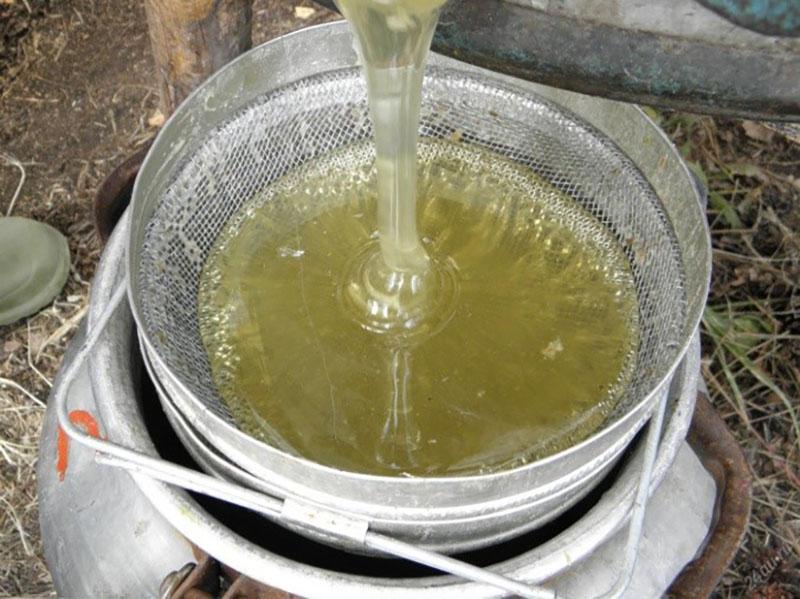 miel d'épilobe d'extracteur de miel
