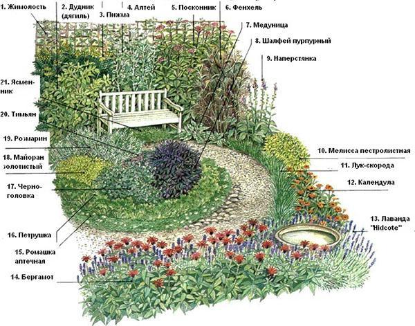 distribution de variétés d'herbes