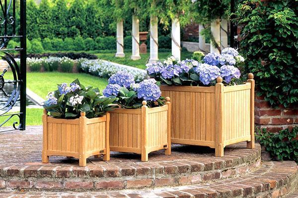jardinières au sol pour grandes fleurs