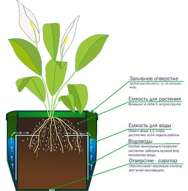 pots avec arrosage automatique