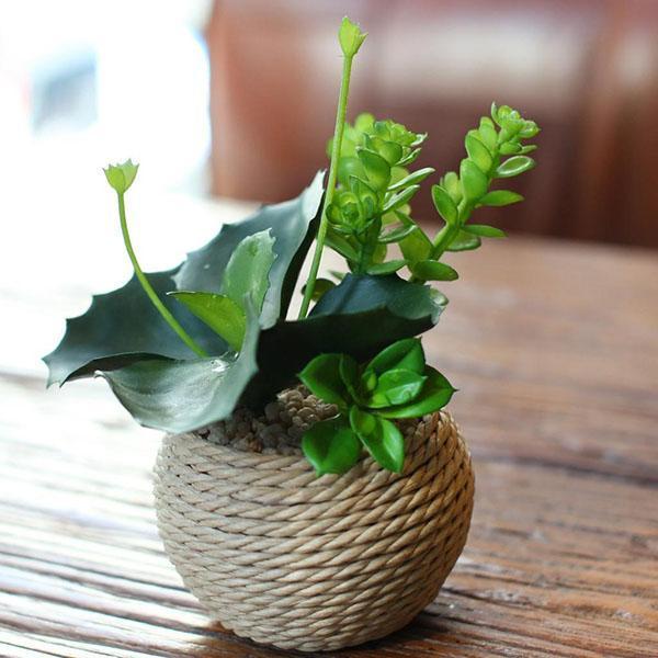 petite jardinière