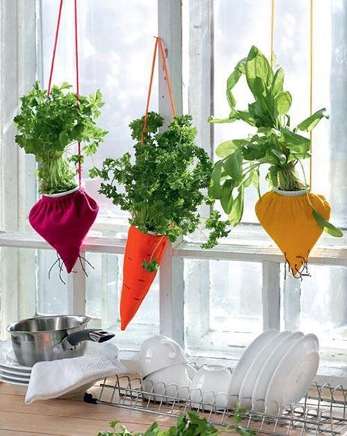 forme originale de pots