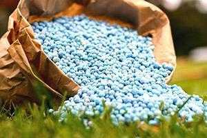 Fertilizante para alimentar zanahorias.