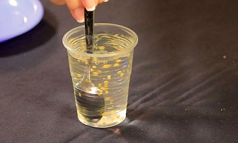 tremper les graines dans une solution faible de chélate de fer