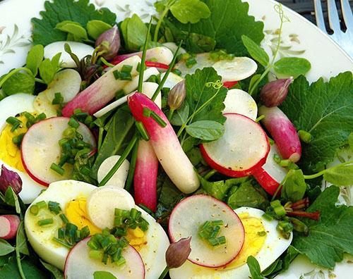 N'utilisez que des légumes-racines sains