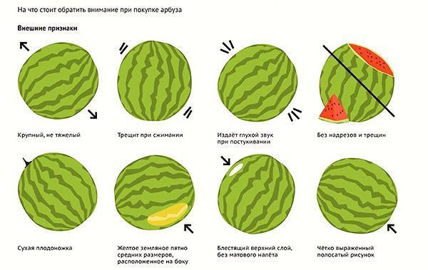 Règles pour choisir la pastèque mûre et juteuse