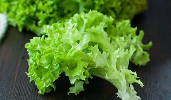 légumes verts vitaminés