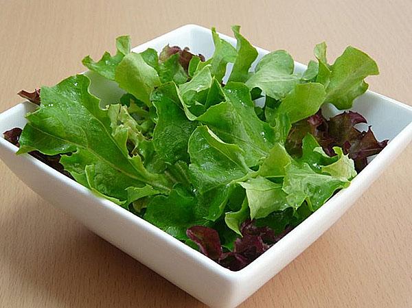 laitue en cuisine