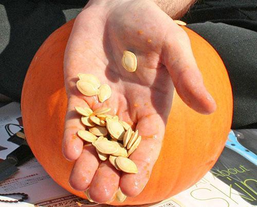 Las semillas de calabaza son buenas para todos