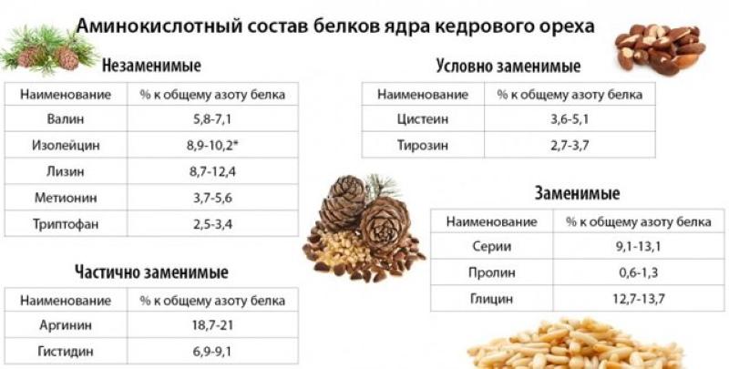 composition de pignons de pin