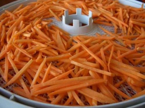 carottes de séchage
