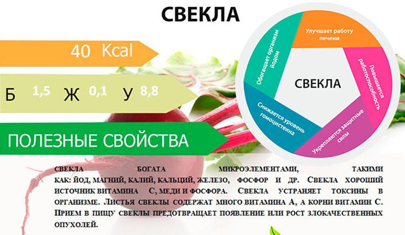 composition chimique des betteraves