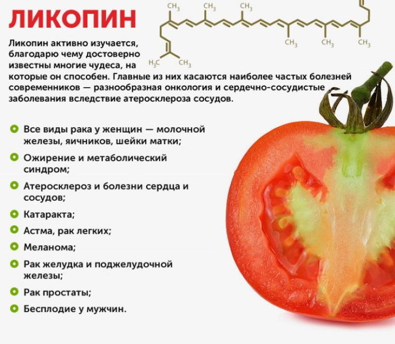 propriétés utiles des tomates