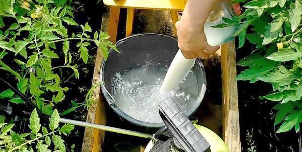 preparación de la solución de trabajo