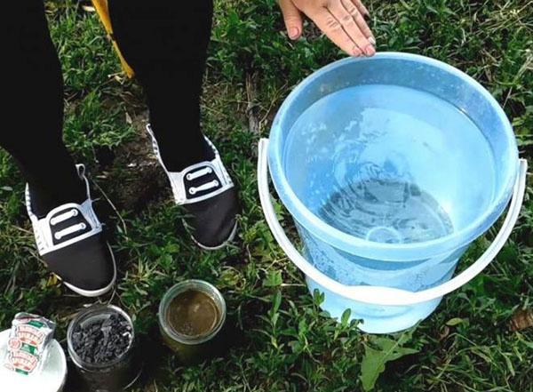 top dressing avec potassium et calcium