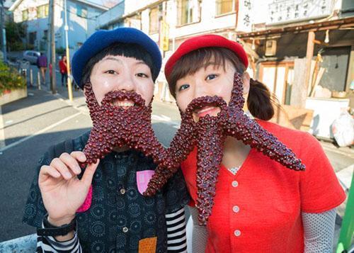 Barbas juguetonas de frijol adzuki