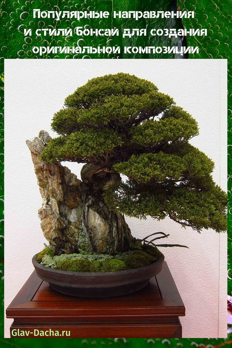 estilos bonsai