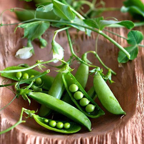 Guisantes verdes