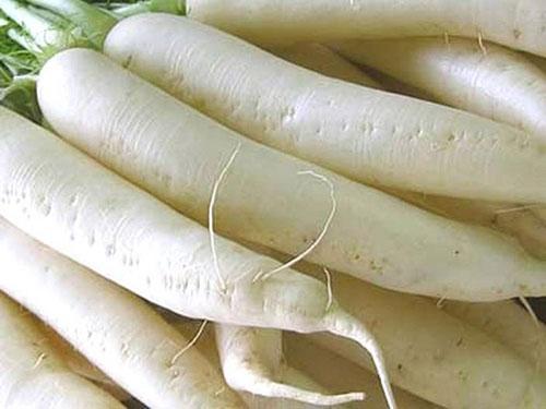 Radis daikon