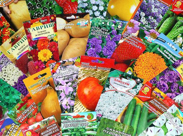 graines de fleurs et de légumes pour chalets d'été