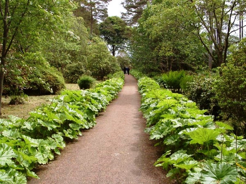 plus sombre le long du chemin