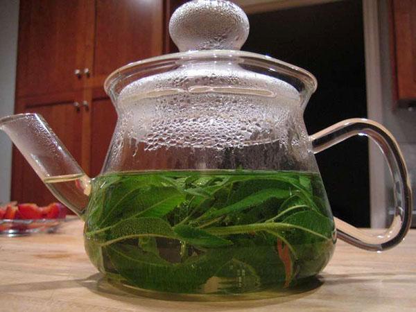 té de verbena medicinal