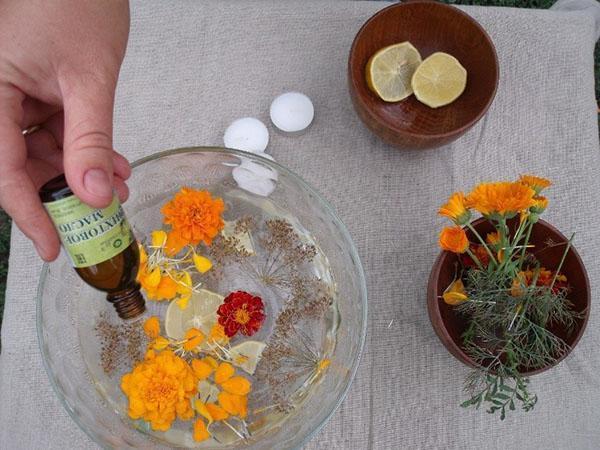 el uso de caléndulas en la medicina tradicional