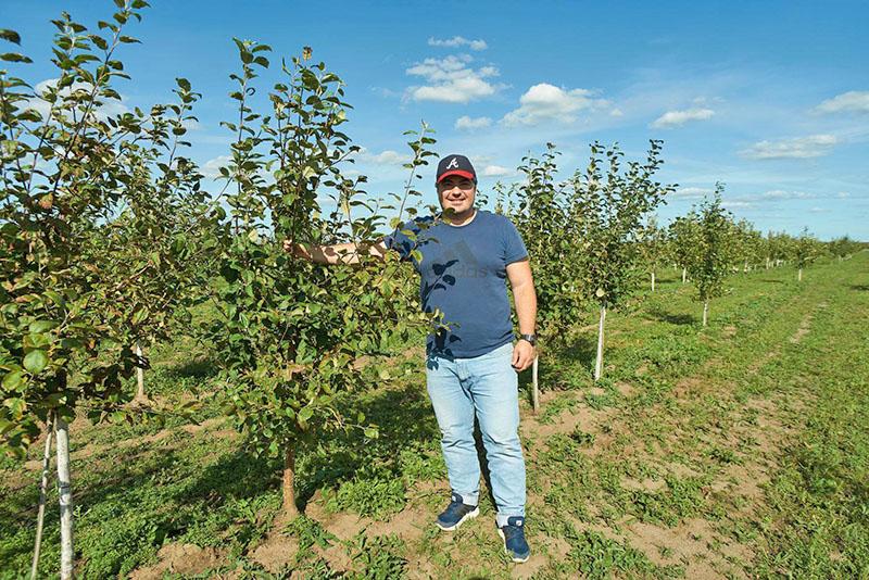 lugar de cultivo del manzano lobo