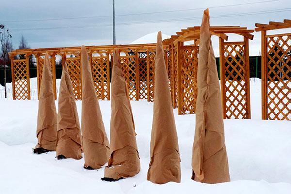 refugio de plántulas para el invierno