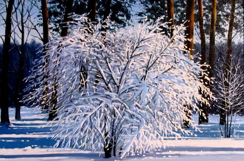 scumpia en la nieve