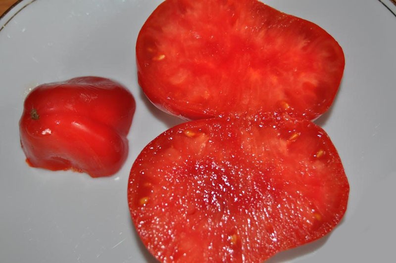 pulpe charnue de tomates Sevruga