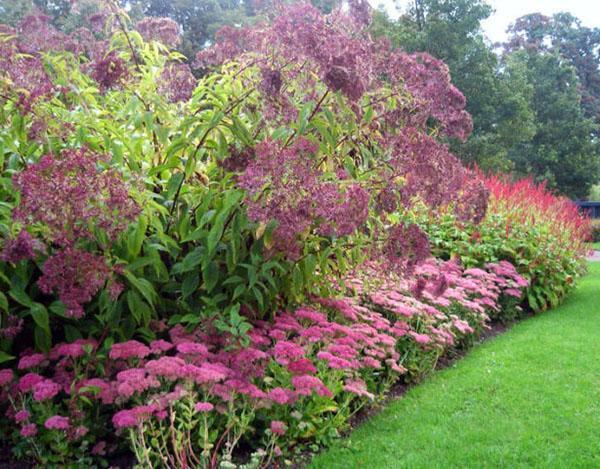 Jardin du château d'Arsène