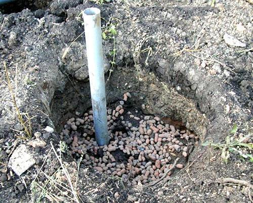 Drenaje de un hoyo para una plántula de uva.