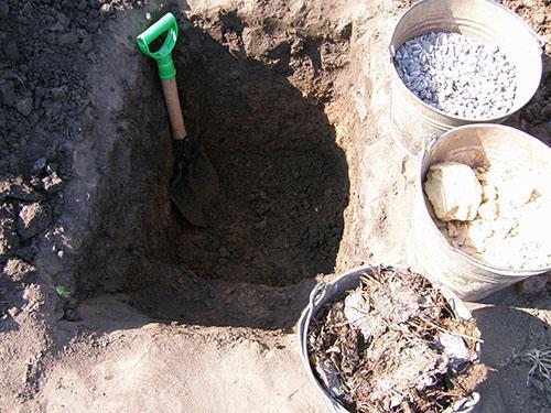 Formación de una capa de suelo fértil.