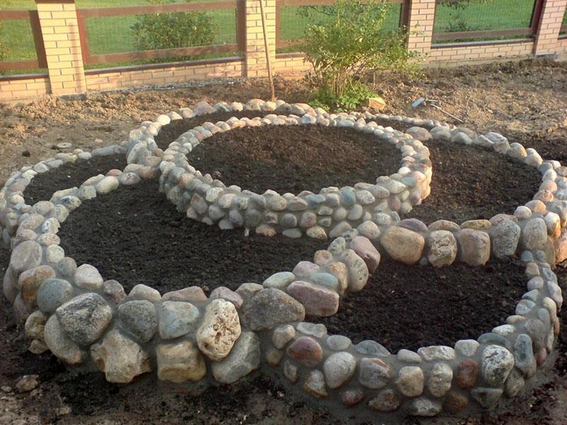 macizo de flores para plantar un pollito