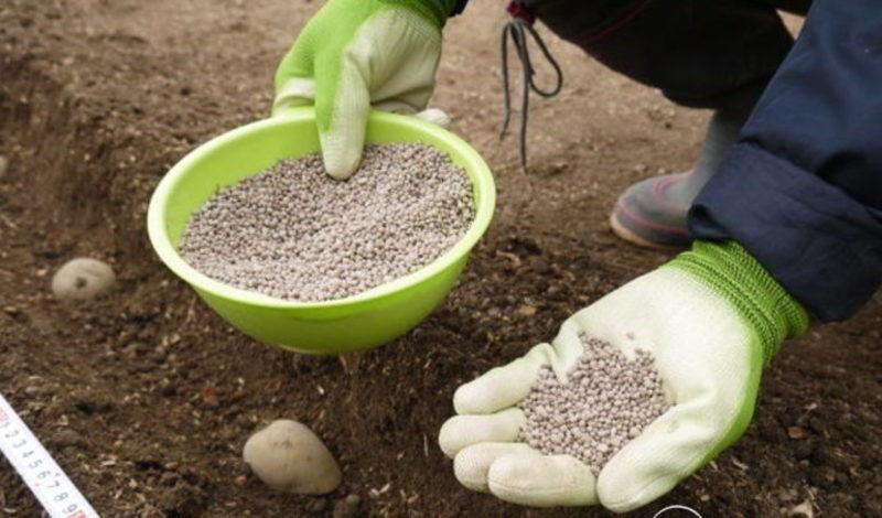 uso de fertilizantes minerales