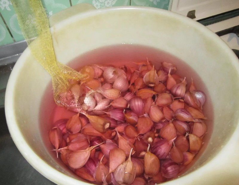 comment traiter l'ail avant de planter pour l'hiver