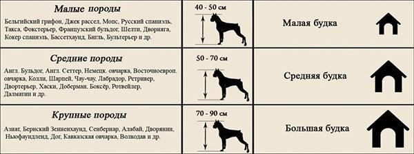 tailles des stands et races de chiens