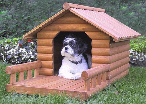 un stand en bois naturel