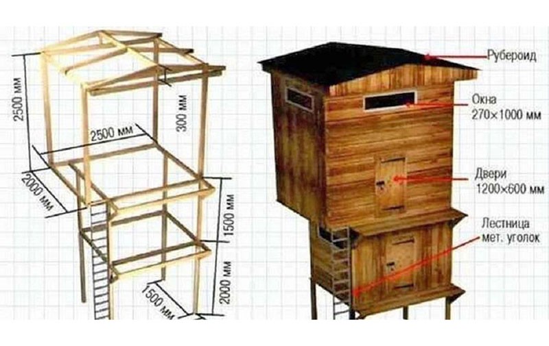 dibujo de palomar con dimensiones