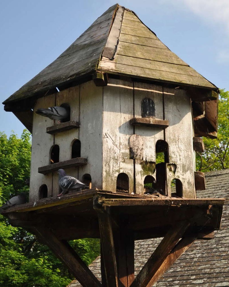 pigeonnier faites-le vous-même