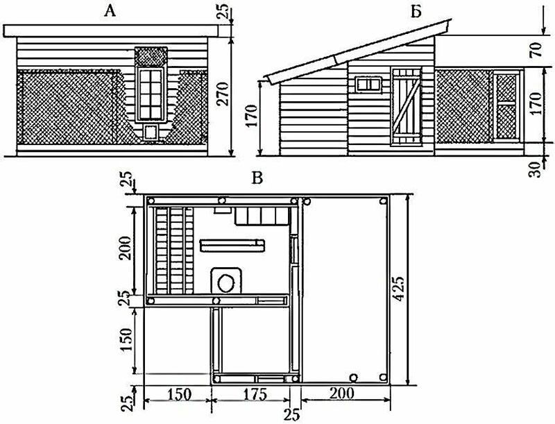 proyecto gallinero