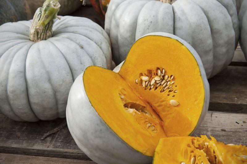 cómo elegir una calabaza para frutas confitadas