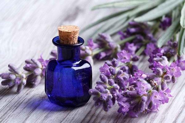 aceite de lavanda saludable