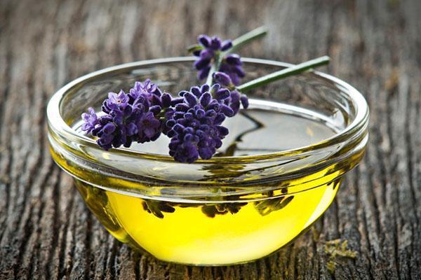 aceite de lavanda para cabello graso