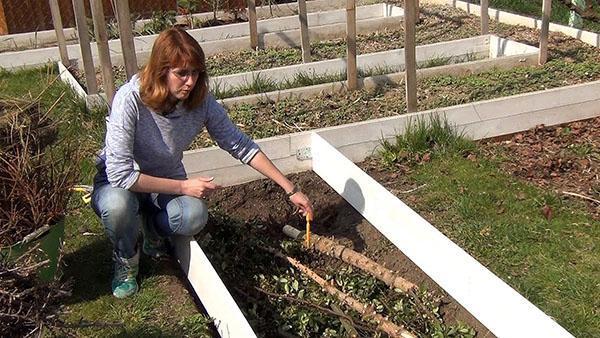 llenando una cama cálida con ramas y follaje